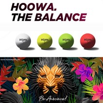 CH1527680 칼라 골프공 골프용품 홀인원기념품, 1box, 라임(6구 하프더즌), 6개