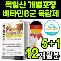 비타민비 비타민비군 비타민비균 직구 수입산 독일산 좋은 제품 추천 정품 비 컴플렉스 콤플렉스 개별 낱개 포장 ptp 내츄럴 플러스 고함량 복합체 복합제 판토텐산 나이아신 비오틴, 6박스(12개월분)