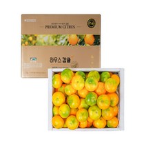 제주농협 최상품엄선 하우스감귤 (GAP우수관리) 1.8kg / 10월10일부터 출하, 소과, 1개