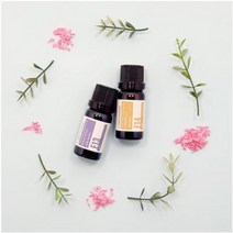 시나몬이오 천연 에센셜 아로마 오일 수면용 가정용 업소용 탈취제 편안한 향기, 코빵오일