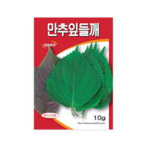 만추잎들깨 2g 깻잎씨 크고 두꺼운 깻잎씨앗 경신종묘, 1개