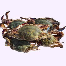 여니야미 서해안 산지직송 활 생물 꽃게 2kg, 2kg (8-10미)