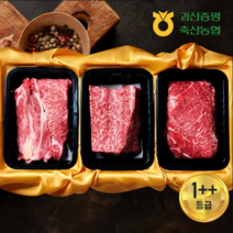 셰프드테이블 괴산증평축협 한우선물 1++등급 1.4kg세트 (등심 500g+불고기450g 국거리450g)