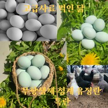 고급사료 먹인 청계 청란 유정란 20구 40구 난각번호 2번, 고급사료 먹인 청계 유정란 20구