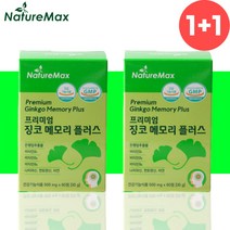 징코 메모리 기억력 혈행 은행잎 추출물 영양제 4개월분