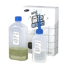 금색펄 타일줄눈 매직라인 DIY 셀프시공 욕실 보수제