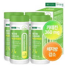 건국유업 [건국유업] 체지방 다이어트 녹차카테킨 60정x4개(4개월), 단품, 단품