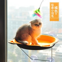 베드 투명 반려묘 고정 튼튼한 창 밖 창틀 새끼고양이 캣베드 냥이집 고양이 창문 해먹, 오렌지 + 깃털, 컬렉션 추가구매 우선배송