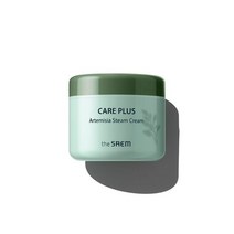 더샘 케어 플러스 강화약쑥 스팀 크림, 100ml, 1개