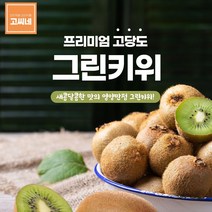 고씨네 프리미엄 그린키위3kg 키위효능 키위 키위주스, 본상품, 쿠팡 본상품선택