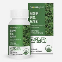 플러스 혈행앤징코브레인 90정, 플러스 혈행앤징코브레인 90정_3개월분