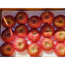 전북장수사과 부사사과 10kg 34-35과 2022 햇사과 후지사과 산지직송 고냉지사과 장수사과농장 사과유명한곳 장수사과