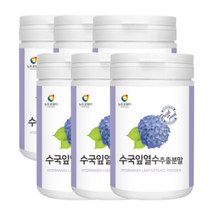 대용량 6통 묶음 수국잎 분말 국내산 열수 추출 가루 추출물 40대 50대 60대 70대 남자 여자