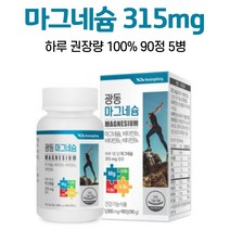 마그네슘 영양제 비타민b 1일 영양성분 기준치 100% 충족 마그네숨 알약케이스 증정, 90정, 5개