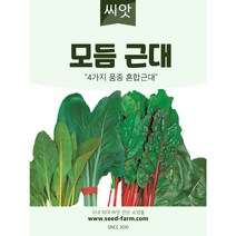 모듬 근대씨앗 (150립)