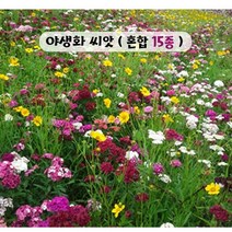 야생화 씨앗 혼합종자15종모음 (100g) 봄부터 가을까지 매년 아름다운 경관 연출