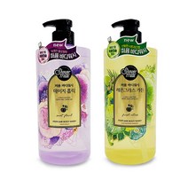오래가는향기 바디클렌져 데이지 플로럴향 레몬그라스 시트러스향 퍼퓸 바디워시 2개, 데이지홀릭, 레몬그라스가든