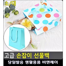 돌잔치 답례품 선물포장 손잡이 쇼핑백 선물포장봉투 문구쇼핑몰 포장재료 종이백 옷가게쇼핑백, 무지아쿠아-소