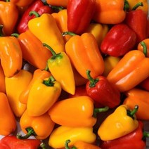유기농 못난이 미니 라온 파프리카 1kg 2kg 5kg, 5kg(색상혼합)