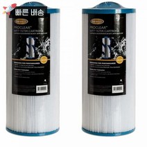 Jacuzzi 6000-383 필터 60 제곱피트 J-300 시리즈 2002 2팩 435518