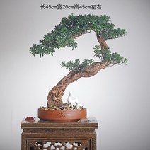 고급 소나무 분재 모형 인테리어 개업 집들이 선물 장식, 스타일 2