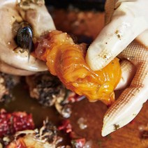 산지 통영 당일조업 가리비 굴전문 바다장어 제철먹거리, 1팩, 손질 깐멍게300g