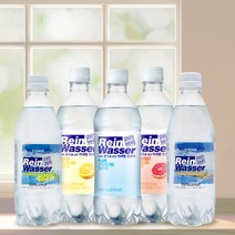 동아오츠카 [동아오츠카] 라인바싸 탄산수 500ml 총 40입 (택2/샤인머스캣.파인애플.플레인.레몬.자몽/20입 2박스), 플레인 1박스/자몽 1박스
