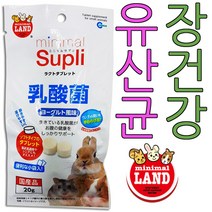마루칸 아디펫샵 소동물 유산균 20g 햄스터 토끼 소화 영양제, 마루칸유산균10g(비닐팩소포장), 1개