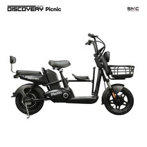 레이윙 디스커버리 피크닉 전동스쿠터 48V 750W, 10.4Ah, 1개