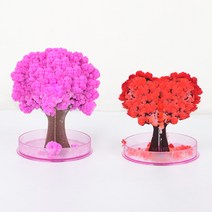 1+1 diy 벗꽃 나무 미니 트리 만들기 세트 물주면 자라나는 매직 나무 장식용 소품 피어나는 자라는 장식 용품, R69056A(2종세트