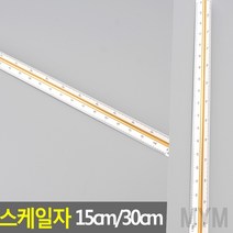 1개배송 삼각스케일자 30CM 고배율 각도삼각자 제도삼각자