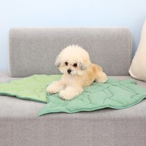 [개놀자] 강아지 고양이 내추럴 나뭇잎 방석 쿠션 사계절 양면, 내추럴 그린