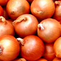 국내산 양파 3kg / 5kg / 10kg 특대 중소과 만생 장아찌용 햇양파, 양파중소과10kg