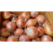 단단하고 신선한 유기농양파3 5kg아이들 반찬용 환자용 친환경양파, 3kg, 1개