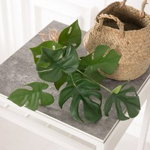 바보사랑 9대몬스테리아뿌리 56cm 조화 인테리어 소품 FAIBFT.플라워트리