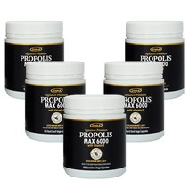 호주 오리진에이 고함량 프로폴리스 6000mg 180캡슐x5통 비타민E