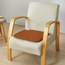 무독성 황토레자 전기방석 1인용방석 45x45cm 100%방수 온열방석