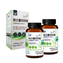 웰리즈 프리미엄 인도산 보스웰리아 1000mg X 60정, 2개(4개월분) 120정 6% 추가할인