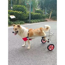강아지휠체어 뒷다리 재활훈련 반려동물 보행기 애견 보조기 장애견 산책, D. 4륜 M (20-36 파운드) 긴 다리 건조