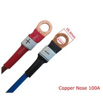 인산철 배터리 시동 충전기 3.65V 15A Lifepo4 빠른 1S 3.2V 3.3V 20A LFP UPS 태양 RV Ebike 포크 리프트 리튬 철 인산염 셀, [01] Copper Nose, [02] 한국플러그