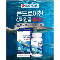 코오롱제약 콘드로이친 황산염분말 상어연골 뮤코다당체 해조칼슘 초록입홍합 보스웰리아 콜라겐 히알루론산 관절 뼈건강 2통, 120정, 2개