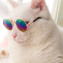쭈쭈야 고양이 강아지 선글라스 도글라스 냥이글라스 안경, 1개, 그린퍼플미러