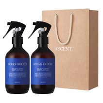 1+1 에이센트 네이처 3X 드레스퍼퓸 250ml + 선물용 쇼핑백, 14 오션브리즈*2