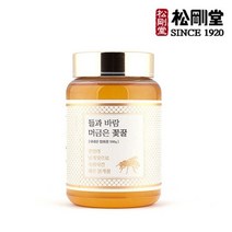 송강당 제주 봉개꿀 580g (면세점 판매)