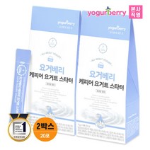 [휴럼] 요거베리 케피어 요거트 스타터 2박스(20포) 티벳 버섯 효모 유산균 종균 요거트, 상세 설명 참조, 상세 설명 참조, 상세 설명 참조