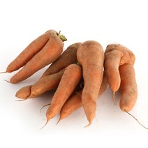 햇살조은 23년 국내산 제주 햇 흙당근(못난이), 1박스, 흙당근15kg(못난이)