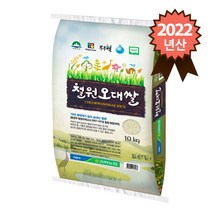 농협 2022년산 김화농협 철원오대쌀 10kg, 1