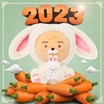 카카오프렌즈 2023 토끼 인형 라이언 카카오선물, 라이언 (화이트)