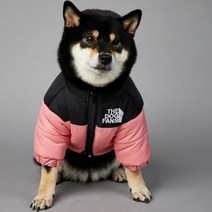 2023 SUPREPET패딩 개 겨울 옷 따뜻한 방풍 솔리드 코트 코튼 디자이너 대형 강아지 액세서리, 분홍색+S
