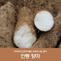 산지직송 안동마 햇마 안동장마 마 생마 장마 5kg, 1세트, 5kg(알뜰)